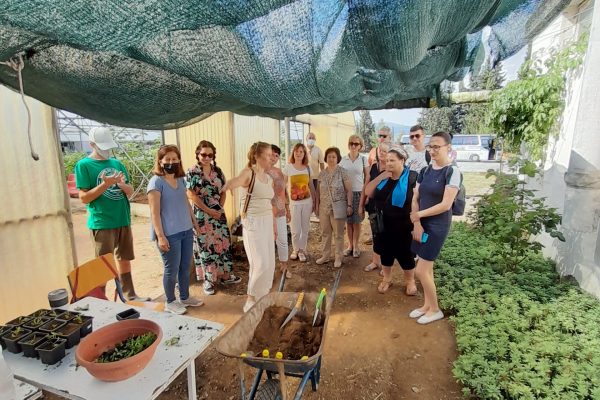 Staff visit a polytunnel