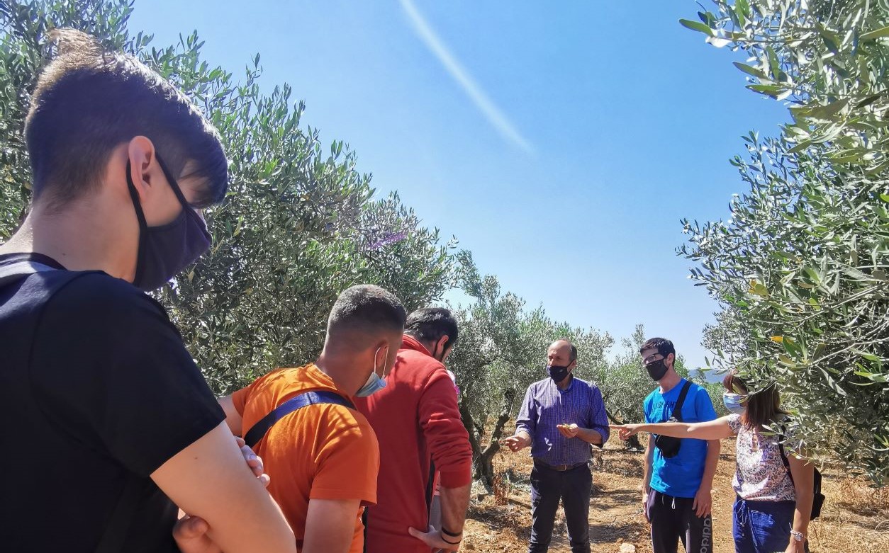 picture 1 Visit to an olive grove.